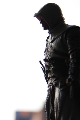 Shadow of the Assassin ..
