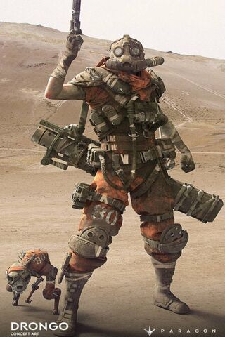 Drongo: The Desert Warrior