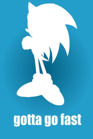 Sonic Gotta Go Fast