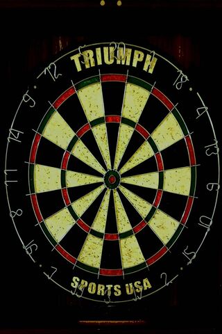 Aim for Victory: The Dartboard Challenge 🎯