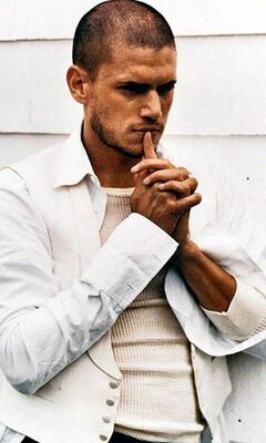Pin on Wentworth miller