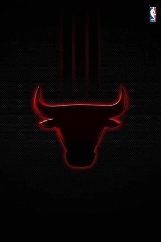 Bulls Wallpaper - Download to your mobile from PHONEKY