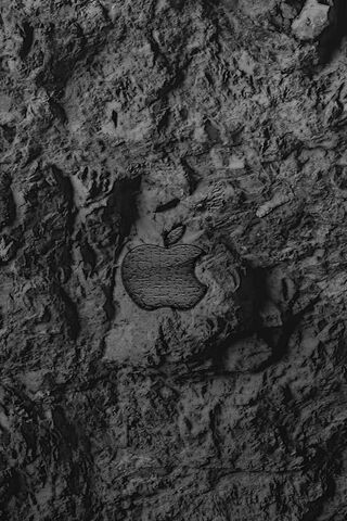 The Timeless Apple: Nature Meets Innovation 🍏✨