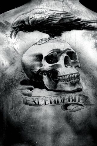 Expendable Ink: A Tale of Life and Death