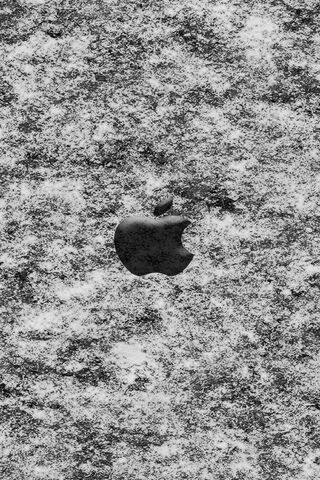 The Timeless Apple: A Classic in Monochrome 🍏✨