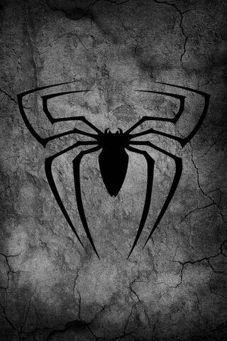 The Web of Power: Spide..