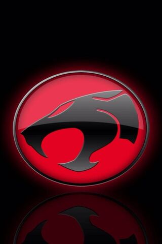 ThunderCats Unite! 🐾