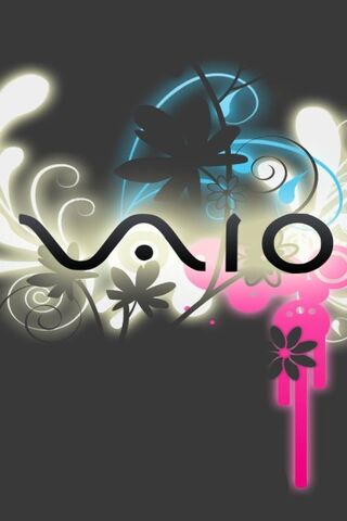 Sony VAIO: A Fusion of Style and Technology 🌟