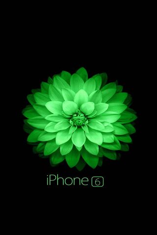 Vibrant Green Elegance:..