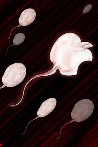 The Dance of Creation: ..