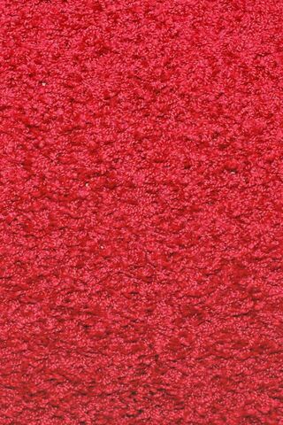 Vibrant Elegance: The Allure of a Bright Red Carpet