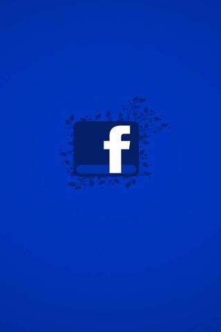 Connecting the World: The Facebook Experience 🌍💙