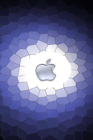 Shining Innovation: The..