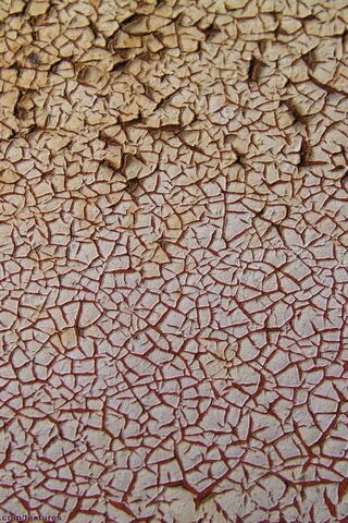 Timeworn Textures: The Beauty of Cracked Walls