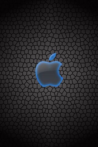 Shining Apple: A Modern..