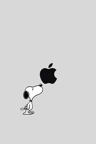 Free download Snoopy and Woodstock Iphone in 2019 Snoopy wallpaper Snoopy  640x1138 for your Desktop Mobile  Tablet  Explore 25 Woodstock 2019  Wallpapers  Woodstock Wallpaper Snoopy and Woodstock Wallpaper Snoopy  and Woodstock Thanksgiving 