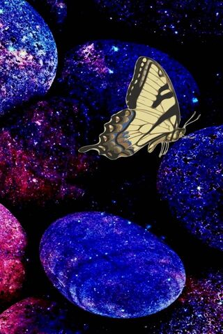 Cosmic Butterfly: A Dance Among Galaxy Stones 🌌🦋