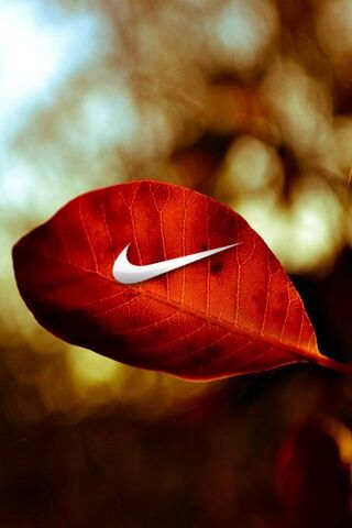 Nature's Swoosh 🍂✨