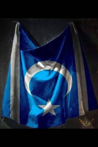 Turkmen Pride: A Symbol of Heritage 🇹🇲✨
