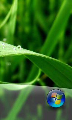 Grass Windows Wallpaper - Download to your mobile from PHONEKY