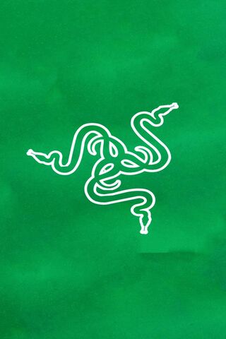 Razer: The Iconic Gaming Brand 🐍🎮