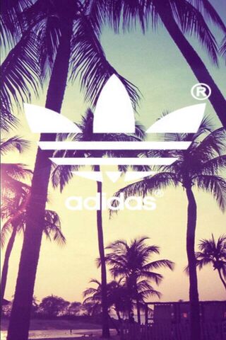 Adidas Vibes: Tropical ..