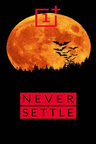 OnePlus: Embrace the Night 🌕✨