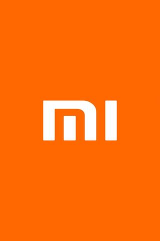 Xiaomi: Innovation in E..