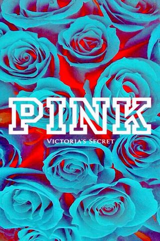 Blooming in Style: Victoria's Secret PINK 🌹✨