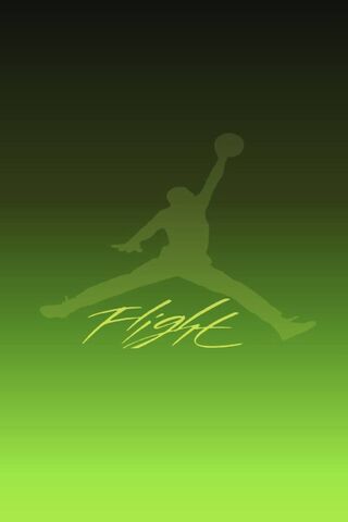 Soaring High: The Jordan Flight Legacy 🏀✨