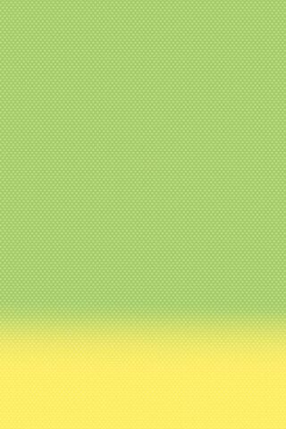 Vibrant Harmony: The Essence of Iso 7 🌿✨