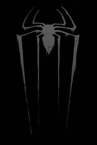 Web of Shadows: The Dark Side of Spider-Man 🕷️🌌