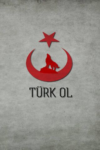 Turan Turk Boz Kurt