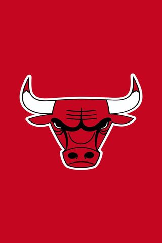 Bulls Logo Ip6