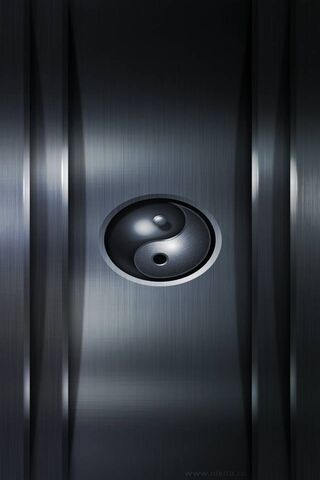 Harmony in Contrast: The Yinyang Essence