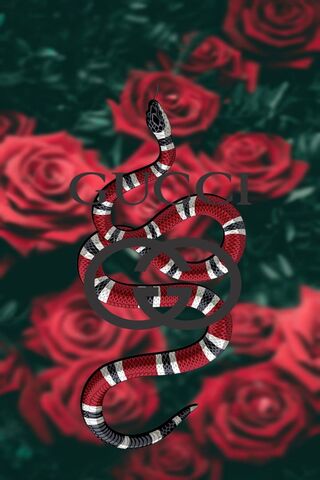 Gucci Wallpaper Download To Your Mobile From Phoneky