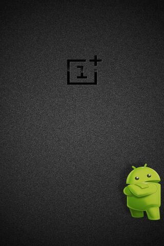 OnePlus One: The Beginn..