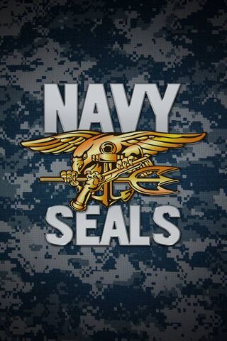 Elite Warriors: The Navy SEAL Legacy 🌊⚓️