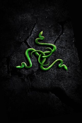 Razer