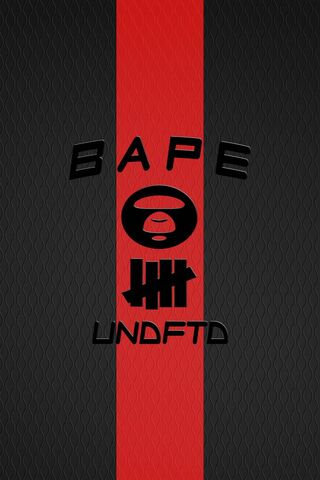 Streetwear Fusion: BAPE x Undefeated
