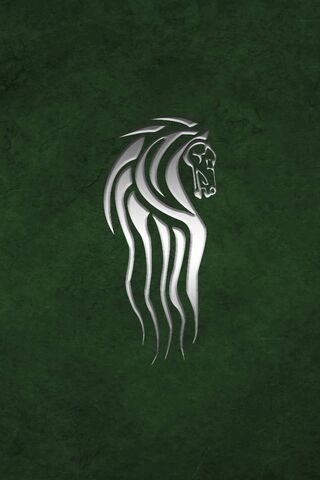 Rohan: The Majestic Spirit of the Wild 🦁✨