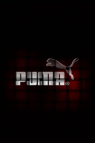 Puma: The Spirit of Speed and Style 🐾