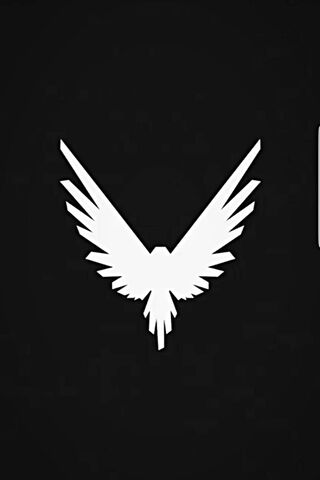 Soar Beyond Limits! 🦅