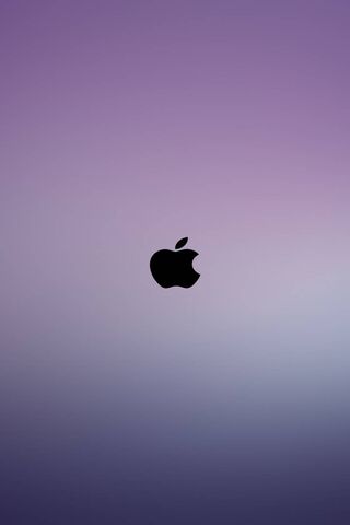 Sleek Simplicity: The A..