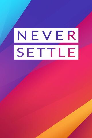 Chase Your Dreams: Never Settle for Less! 🌟