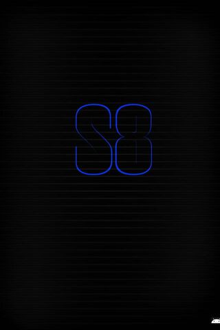 S8: A Glimpse into the Future