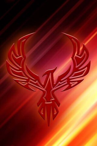 Rise of the Glam Phoenix: A Symbol of Transformation