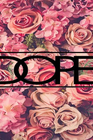 Blooming Vibes: The Dope Rose Collection 🌹✨