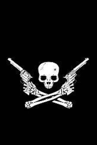 Rebel Spirit: The Skull..