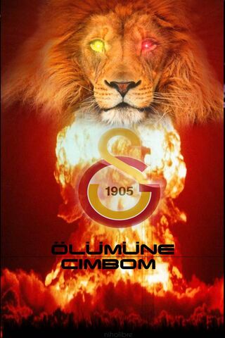 Roaring Spirit of Galatasaray 🦁🔥